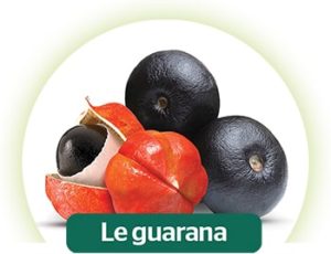 guarana et ananas
